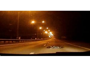 Canlı Olarak Savrulduğu Yol Kenarından Ölüsü Geri Döndü