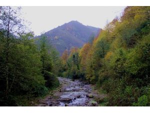 Karadeniz’de Renk Cümbüşü