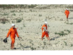 Mahkumlar Yengeç İle Doğayı Temizledi