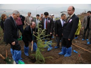 Kanser Hastalarının Dikili Ağacı Oldu
