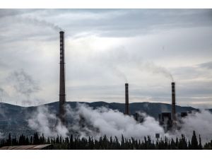 Greenpeace’den Yırca’da Yüksek Hava Kirliliği İddiası