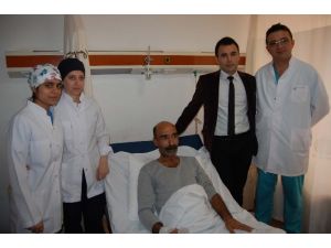 Bunlar Böbreğinden Çıktı