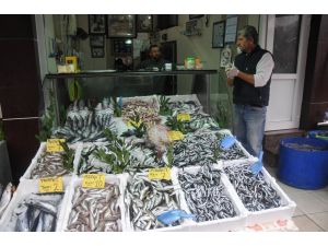 Batı Karadenizde Balık Fiyatları Düşüyor