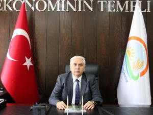 Organik Tavuklar Bursa’da Yumurtlayacak