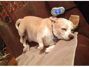 Onun İçin Vefa, İstanbul’da Bir Semt Değil