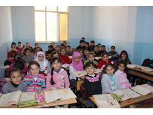Suriyeli Öğrencilerin Eğitim Çilesi