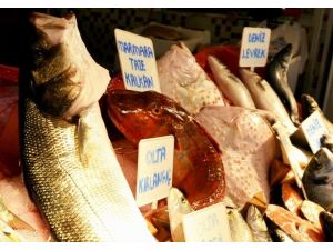 Balık Bolluğu Yüzleri Güldürüyor