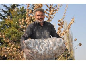 Patateste Verim Düştü, Fiyat Yükseldi