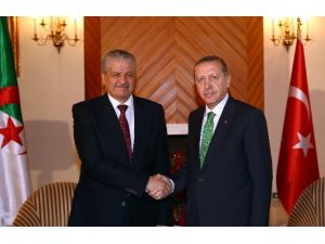 Cezayir Başbakanıyla Görüştü