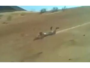 Bu Da Çöl Kayağı