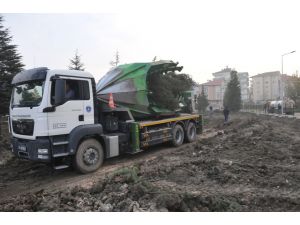 Osbden Sökülen 50 Ağaç Koruluğa Dikildi