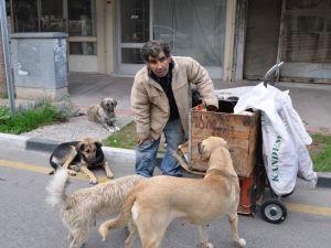 Zor Kazandığı Ekmeğini Köpekleriyle Paylaşıyor