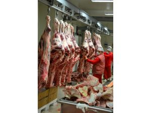 Et Fiyatlarını Kasaplık İthal Hayvan Düşürür