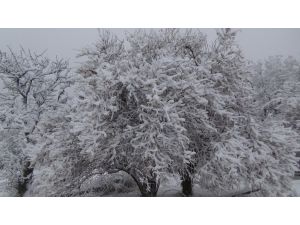 Yozgat’a Mevsimin İlk Karı Yağdı