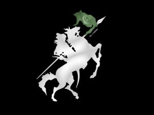 Akıncılar Hacker Grubu, İsrail Devlet Sitelerini Çökertti