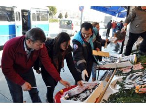 Balıkçılara İki Ayda 13 Bin 546 Noktada Denetim Yapıldı