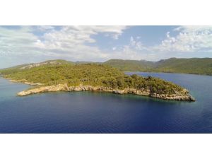 Satılık Adaya Abramoviç’in Talip Olduğu İddiası İle İlgili Açıklama