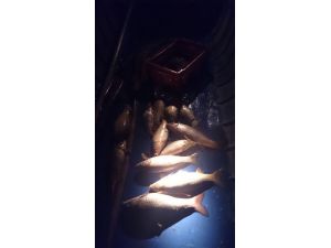 Elektroşokla Balık Avlayan Şahıslara Baskın