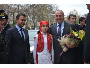 Dışişleri Bakanı Mevlüt Çavuşoğlu: