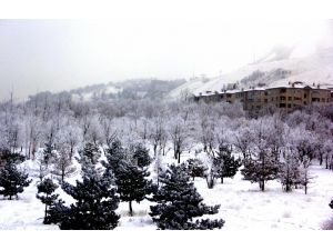 Erzurum’da Kar Yağışı