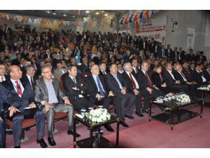 Hüseyin Çelik: “Bir Kürt Olarak Utanç Duydum”