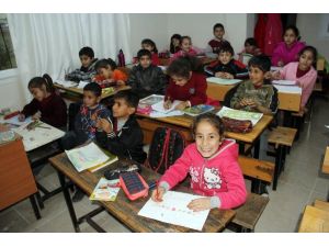Balık İstifi Eğitim
