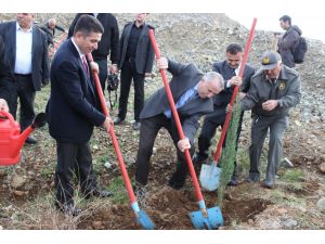 10 Bin Fidan Toprakla Buluştu
