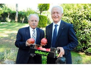 Şifa Kaynağı Nar, Antalya’da Masaya Yatırıldı