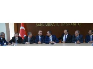 Ak Parti Genel Başkan Yardımcısı Gül’den Açıklamalar