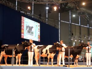 Fuarda İlk Kez Canlı Hayvan Holü Olacak