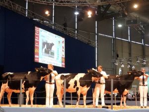 Türkiye’de Bir İlk