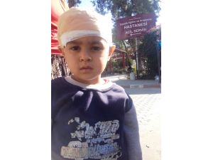 Kafasına Taş Düştü Hayatı Kurtuldu