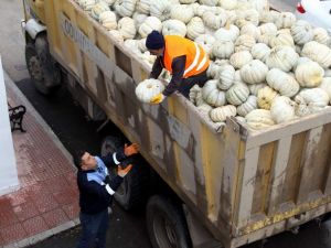 Belediye Aşevine 14 Ton Balkabağı Bağışladı