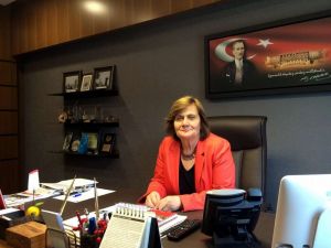 Akova, Balıkesirin Arsenikli Su Meselesini Meclis Gündemine Taşıdı