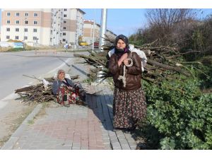 Her Şey Isınmanın Hayali İçin