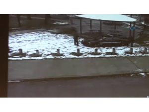 Abd’de Polis Vahşeti: Bu Kez Çocuk Vurdular