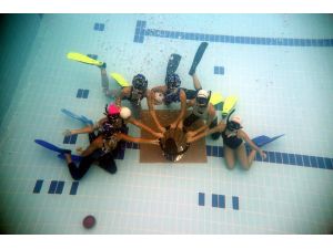 Şampiyonlar Avrupada Türkiyeyi Temsil Edecek