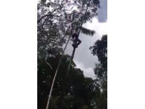 Yaşından Çok Daha Genç