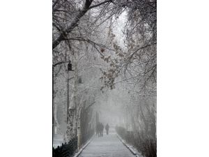Kara Kıştan Karpostallık Kareler