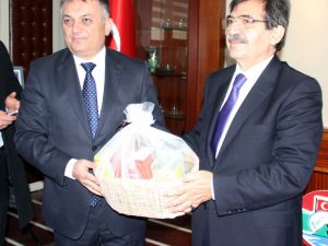 Bakan Güllüce: Yalova’da Kesilen Ağaçlarla İlgili Konunun İncelenmesi Lazım”