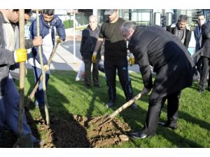 Muharrem İnce Özür Diledi