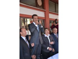 Sarıgül Ağaç Kesen Chp’li Başkanı Kınadı