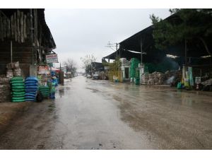 (Özel Haber) Mahrukatçıların Bedava Kömür İsyanı