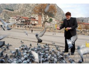 Güvercinlerin Yemci Babası