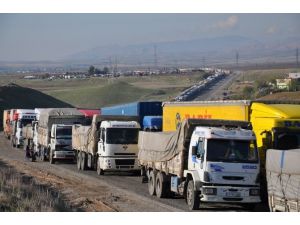 Kuyruğun Ucu Gözükmüyor