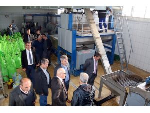 Manisa Üzümleri Avrupaya İhraç Ediliyor