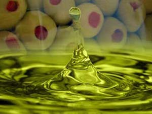 En Kaliteli Zeytinyağı, Erken Hasattan Çıkıyor