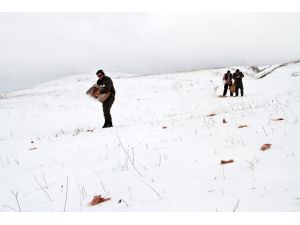 Ardahan’da Yaban Hayatına Yem Takviyesi