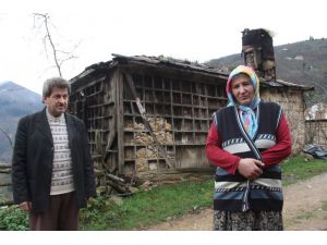 Derme Çatma Evde Hayat Mücadelesi