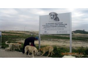 Bizim Sokağın Çocukları Projesi